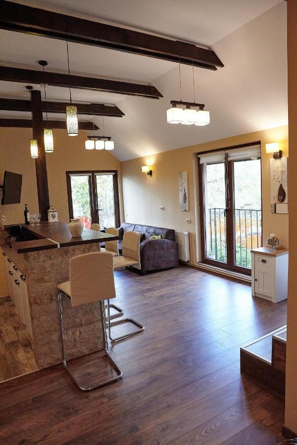 Apartament Rozelor Брашов Екстер'єр фото